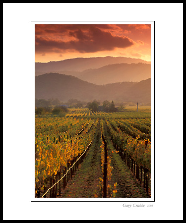 Sunset over fall vineyards and mountains above the Napa Valley from the Silverado Trail, California; Wine Country Vineyard, pictures, photos, prints, photographs, photography, framed wall art decor images and wall murals