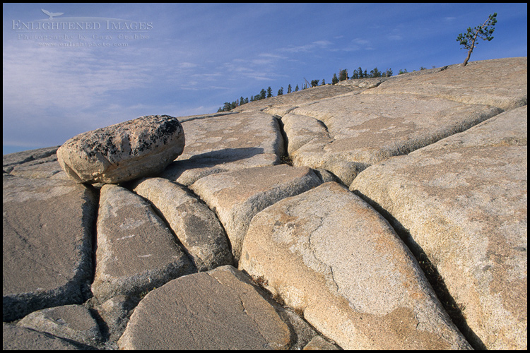 Picture: Glacial Erratic on glacier-polished granite at Olmsted Point, Yosemite National Park, California