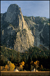 Picture: Native American Teepees in Yosemite Valley, Yosemite National Park, California
