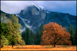 Picture: Clearing fall storm over Half Dome from Cooks Meadow, Yosemite Valley, Yosemite National Park, California