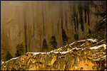 Picture: Cliff Detail trees on rocky ledge of Half Dome at sunset, Yosemite National Park, California