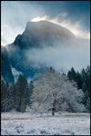 Picture: Clouds streaming off the top of Half Dome in Winter, Cooks Meadow, Yosemite Valley, Yosemite National Park, California