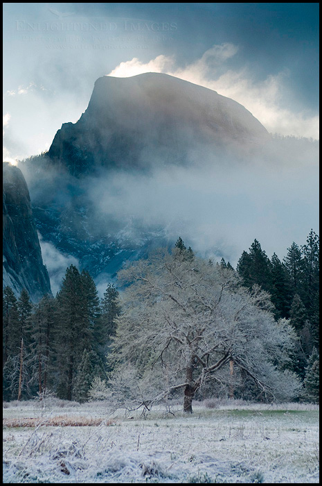 Picture: Clouds streaming off the top of Half Dome in Winter, Cooks Meadow, Yosemite Valley, Yosemite National Park, California