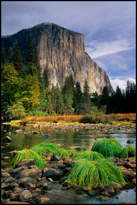 Picture: El Capitan rises above the Merced River at Valley View, Yosemite Valley, Yosemite National Park, California