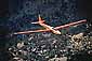Soarplane glider over wooded hills, Napa County, California