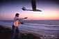 Launching a radio-controlled glider at sunset over the ocean, San Diego Co., California