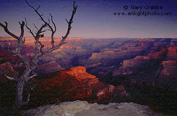 First rays of sunrise on rocks on a clear morning, South Rim, Grand Canyon National Park, Arizona