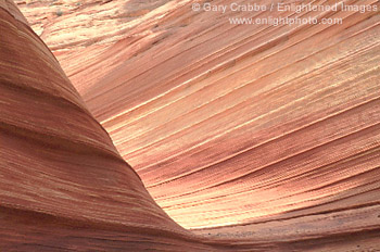 Sandstone formations at "The Wave", Coyote Buttes, Paria Vermilion Cliffs Wilderrness, Arizona