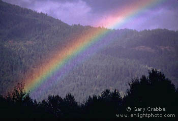 Rainbow during a fall rain storm, near Pemberton, British Columbia, Canada