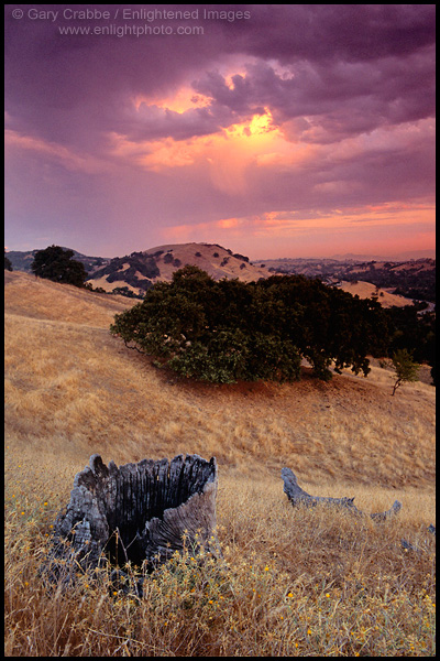 Photo: Stormy sunrise light on clouds over oak trees and hills, Summit Ridge, Lafayette, California