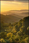 Picture: Sunrise over the Orinda Hills, Contra Costa County, California