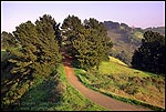 Photo: Sea View Trail, Tilden Regional Park, Berkeley Hills, California