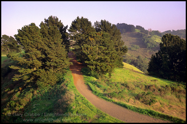 Photo: Sea View Trail, Tilden Regional Park, Berkeley Hills, California