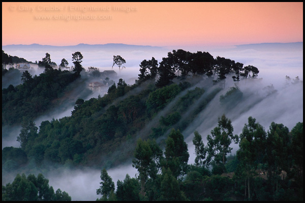Photo: Morning fog flowing from San Francisco Bay over the Berkeley Hills, Alameda County, California