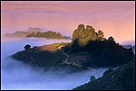 Picture:  Morning light and fog in the Berkeley Hills, California