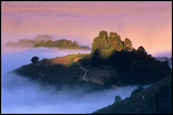 Picture: Morning light and fog in the Berkeley Hills, California