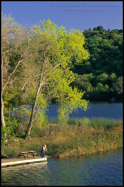 Picture: Fisherman on dock at Lafayette Reservoir, Lafayette, California