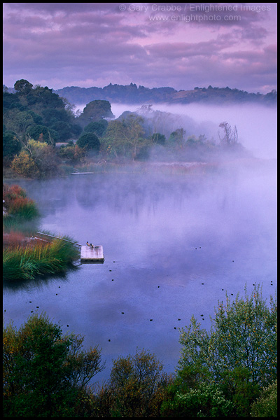 Photo: Early morning solitude; fisherman on dock, Lafayette Reservoir, Lafayette, California