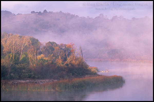 Picture: Sunlight and morning mist over fishermen fishing from dock, Lafayette Reservoir, Lafayette, California