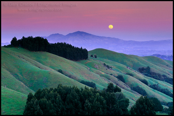 Photo: Full moon rising over Mount Diablo in Spring, East Bay Hills, California
