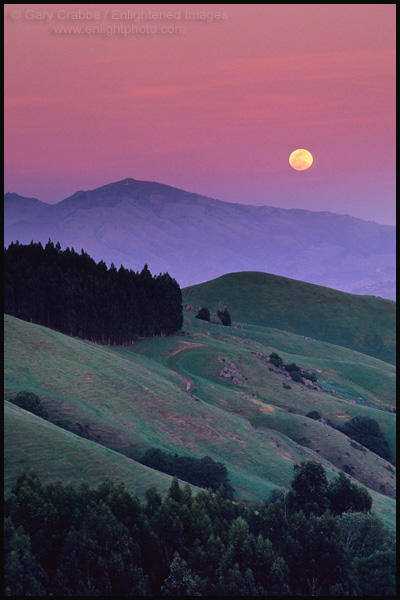 Photo: Full moon rising at dusk over green hills and Mount Diablo in Spring, East Bay Hills near Orinda, California