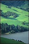 Picture: Green hills in spring above San Pablo Reservoir, near Orinda, California