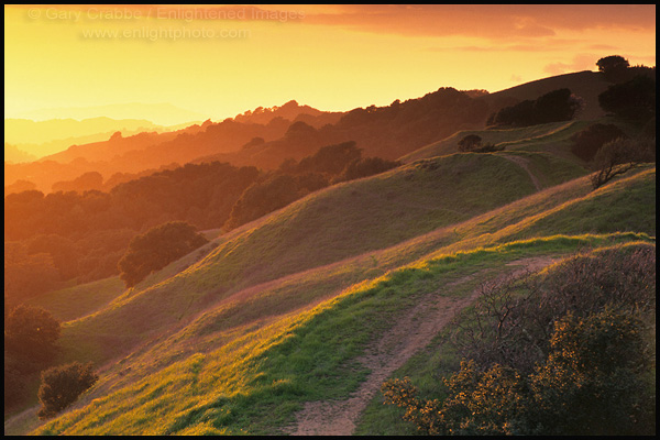 Picture: Rolling green hills at sunset, Lafayette Ridge Trail, Lafayette, California