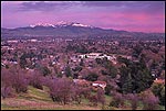 Picture: Pink skies and snow on Mount Diablo after a winter storm, Pleasant Hill, California