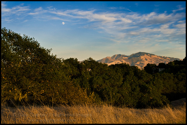 Photo: Moon over Mount Diablo from Lafayette Ridge, Lafayette, California