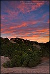 Photo: Red clouds at sunset over oak trees and hills, Briones Regional Park, near Lafayette, California