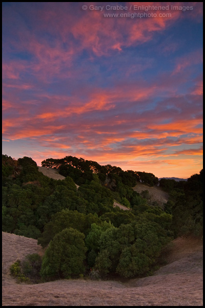 Photo: Red clouds at sunset over oak trees and hills, Briones Regional Park, near Lafayette, California