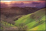 Photo: Stormy sunset over oak trees and green hills, Mount Diablo State Park, California