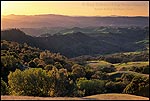 Photo: Sunset light on oak trees and rolling green hills, Mount Diablo State Park, Contra Costa County, California