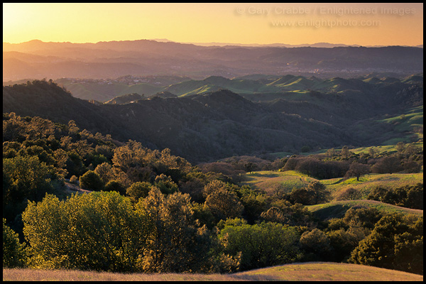 Photo: Sunset light on oak trees and rolling green hills, Mount Diablo State Park, Contra Costa County, California