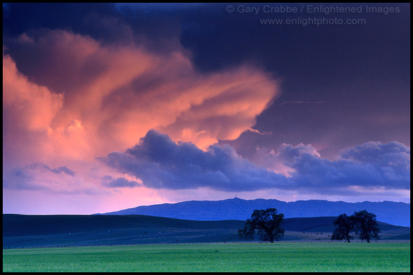 Picture: Alpenglow on storm cloud over green pasture, Tassajara Region, Contra Costa County, California