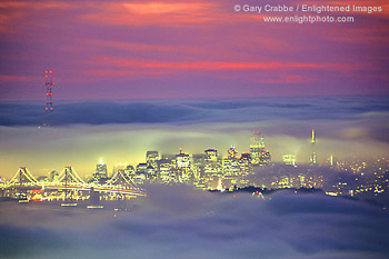 San Francisco and fog at sunset, seen from the Berkeley Hills, California