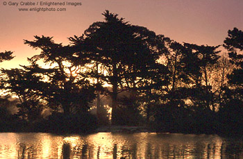 Sunrise at Stow Lake, Golden Gate Park, San Francisco, California