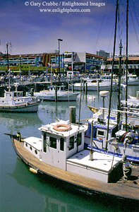 Commercial fishing boats docked at Fishermnans Wharf, San Francisco, California