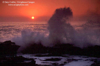 Wave crashing at sunset, Bean Hollow State Beach, San Mateo Coast, California