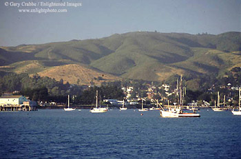 Fishing boats in Half Moon Bay, San Mateo County, California
