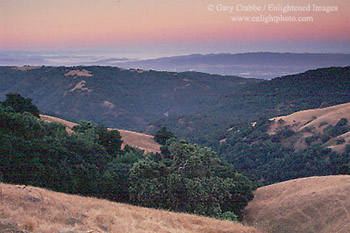 Dawn over grass and oak covered rolling hills along Sheep Ridge, looking toward Monterey Bay (in distance), Santa Clara County, California