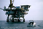 Photo: Offshore oilr rig platform near the Channel Islands, Southern California Coast