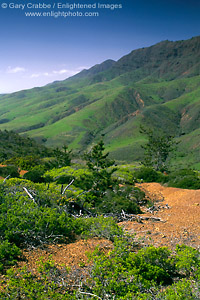 Photo: Green hills in spring near Christy Ranch, Santa Cruz Island, Southern California Coast