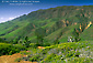 Photo: Green hills in spring near Christy Ranch, Santa Cruz Island, Southern California Coast