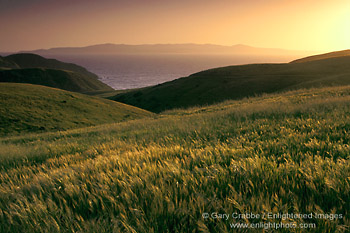 Photo: Sunset over green hills in spring near Christy Beach, Santa Cruz Island, Channel Islands, Southern California Coast