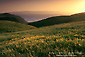 Photo: Sunset over green hills in spring near Christy Beach, Santa Cruz Island, Channel Islands, Southern California Coast