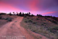 Photo: Red clouds at sunset over dirt road on Santa Cruz Island, Channel Islands, Southern California Coast