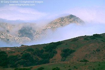 Photo: Clearing fog over mountain on Santa Cruz Island, Channel Islands, Southern California Coast
