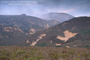 Coastal fog on the hills of Montana del Oro State Park, near Los Osos, California; Stock Photo photography picture image photograph fine art decor print wall mural gallery