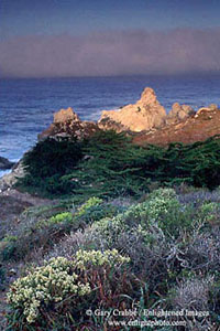 First light on fog and coastal rock near Carmel, Monterey County, California